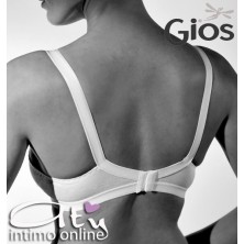 REGGISENO TECNICO strutturato GIOS 301
