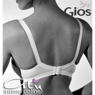 REGGISENO TECNICO strutturato GIOS 301